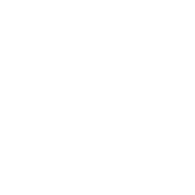 FAQ Icon