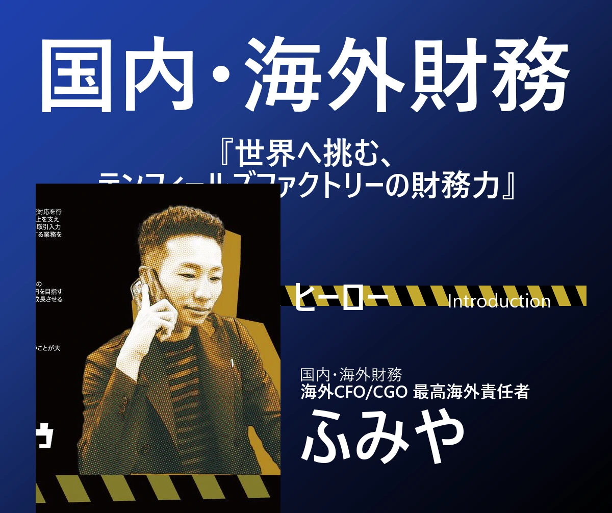 国内・海外財務