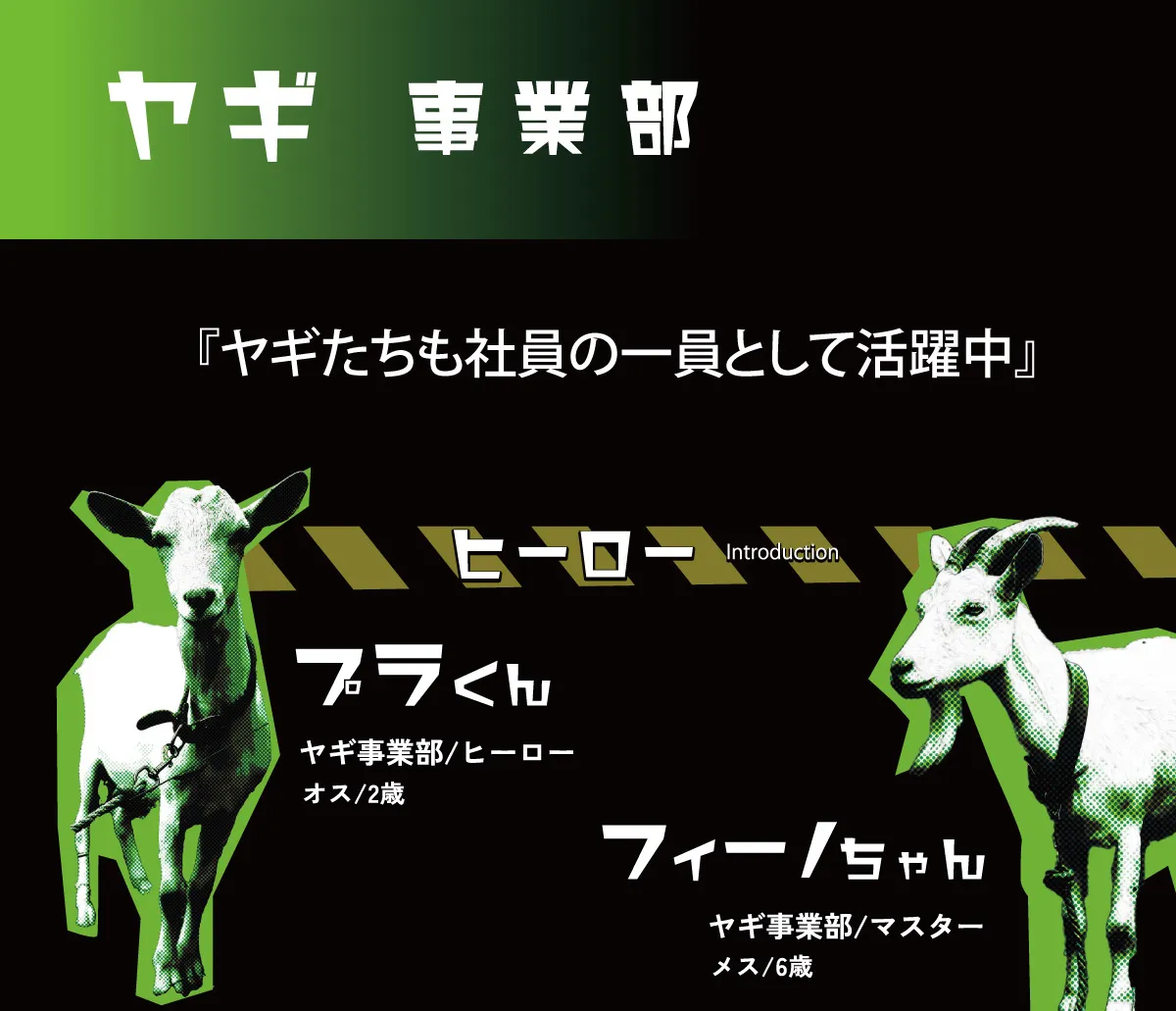 ヤギレンタル