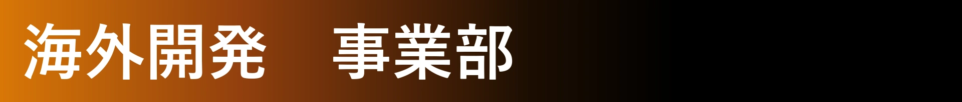 海外開発